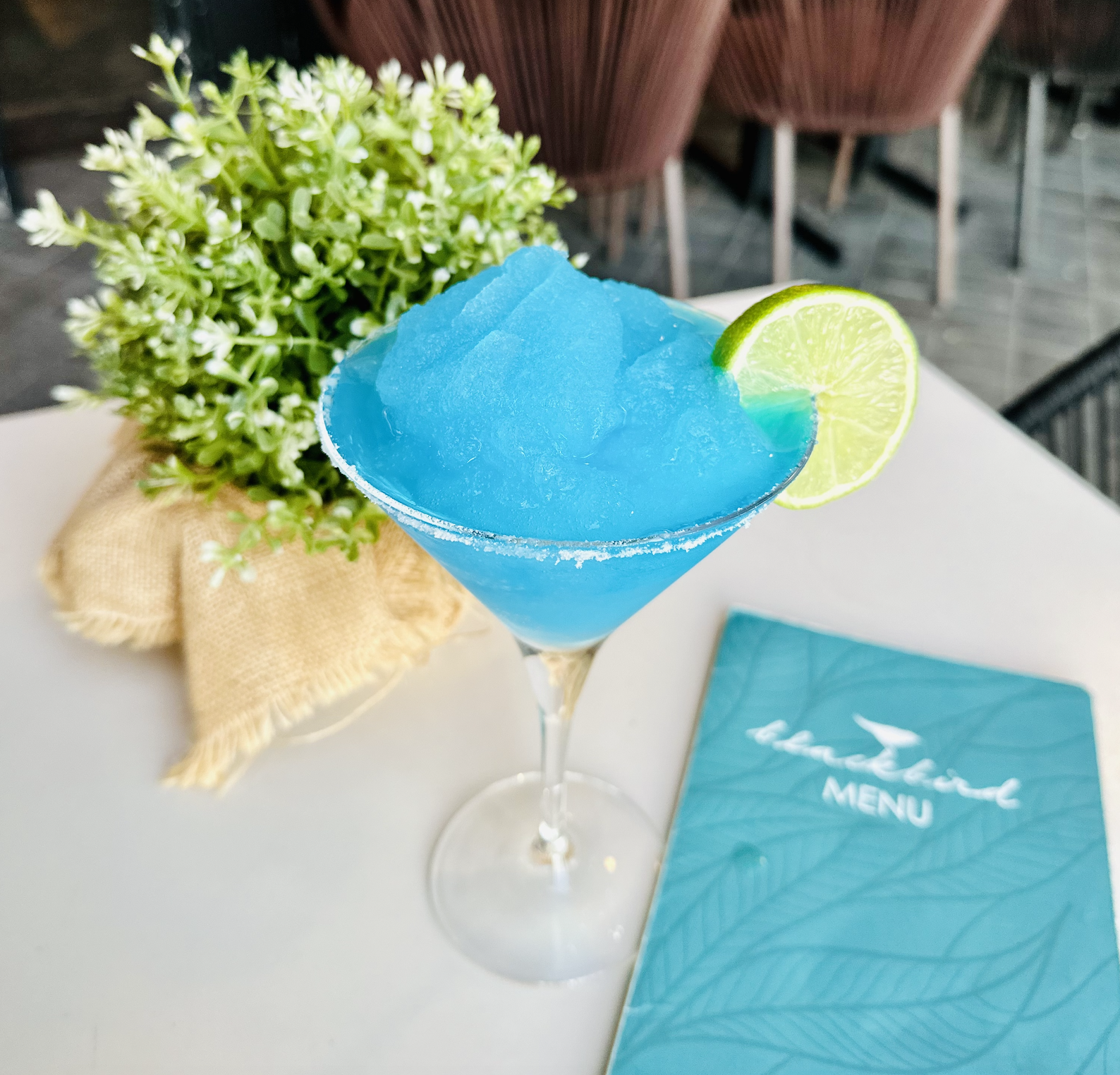 sydney international boat show blackbird cafe